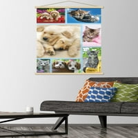 Кийт Кимбърлин-колаж за кученца и котенца плакат за стена с дървена магнитна рамка, 22.375 34