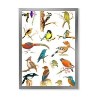Дизайнарт' Витални Цветни Птици Планкарт ' Традиционна Рамка Арт Принт