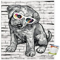 Морено-куче очила плакат за стена с дървена магнитна рамка, 22.375 34