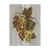 Марка изобразително изкуство 'есенно грозде Ив върху дърво' платно изкуство от Силвия Василева