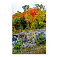 Изкуство Есенна гора платно от колекция Либерман